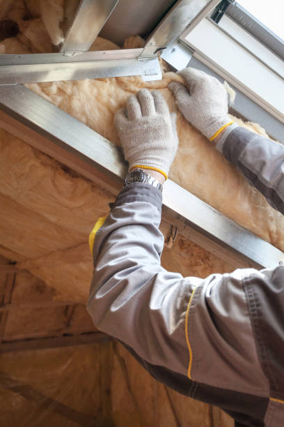 Best Professional Insulation Contractor  in Tompkinsville, KY